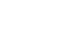 BigCoin